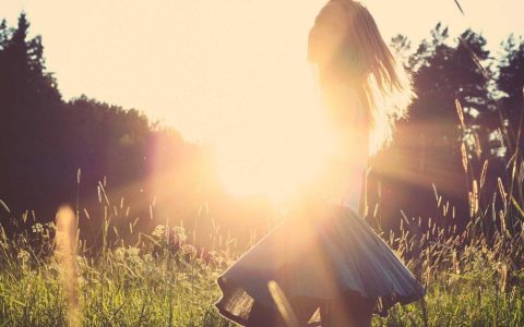 白柴犬眼睛下面有泪痕怎么办？5大原因与预防清除方法全解析