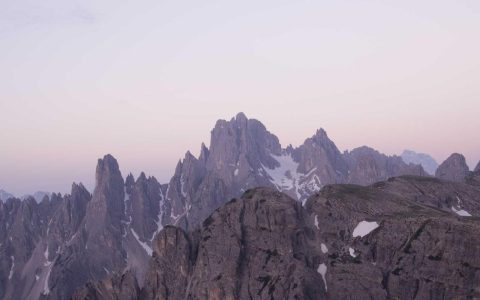 柴犬玩具怎么选？这3类常见错误正在毁掉你家柴犬的安全