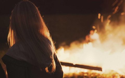 玩具对柴犬有多重要？选对玩具让柴犬更聪明更健康的完整指南