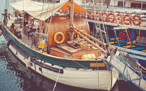 柴犬冬天需要穿衣服吗？冬季养柴犬必知的6个护理要点