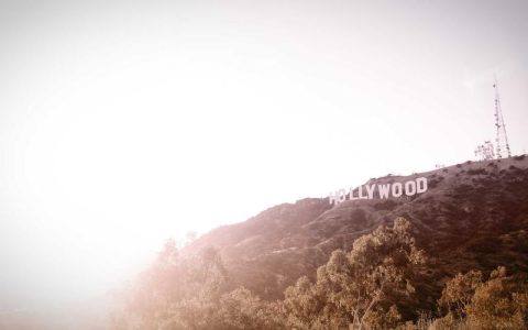 柴犬为什么喜欢舔人脸？科学解析柴犬舔人行为背后的6个真实原因