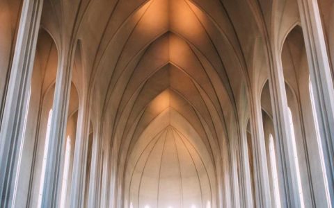 柴犬皮肤病有哪5大症状？发现这些信号要立即带它去看医生