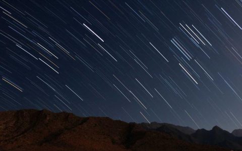 柴犬最喜欢被摸哪里？摸狗技巧全指南：第一次千万别摸头