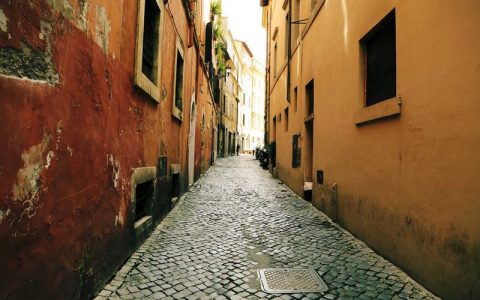 泰迪犬胰腺炎有哪些症状？两大典型表现与就医指南