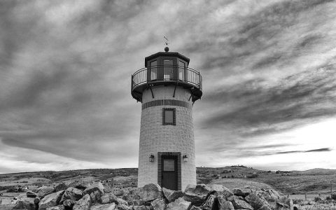 狗狗可以吃哪些蔬菜？六种推荐蔬菜与喂食注意事项全解析